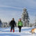 Met de hond naar de wintersport