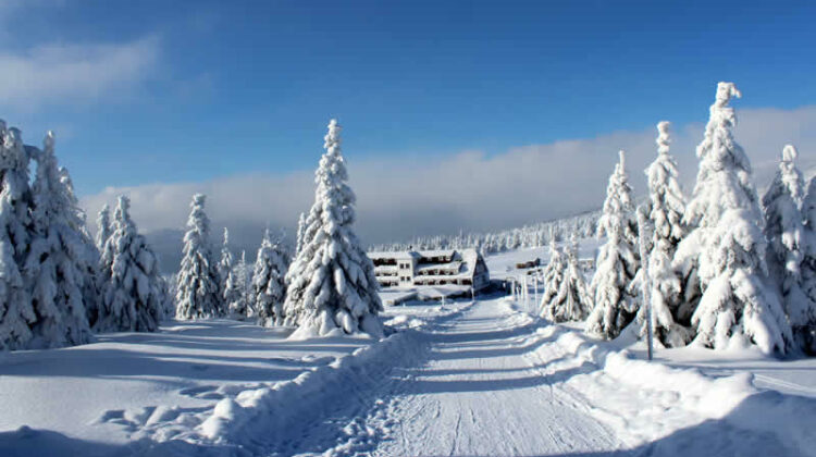 Last minute wintersport in Tsjechië